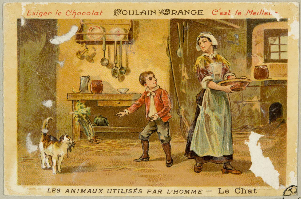 carte réclame chromo 1955.4.419 Photo