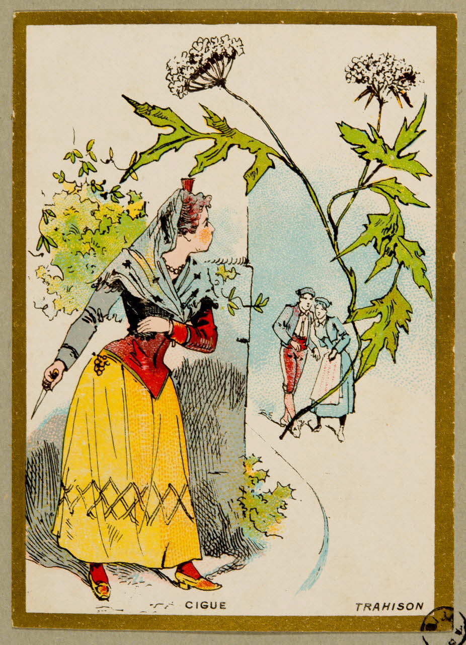 carte réclame chromo 1955.4.46 Photo