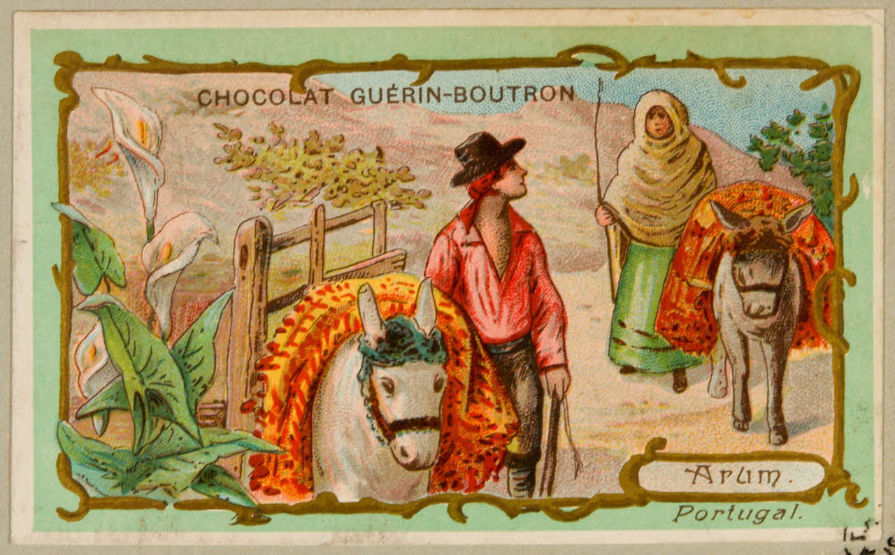 carte réclame chromo 1955.4.5 Photo