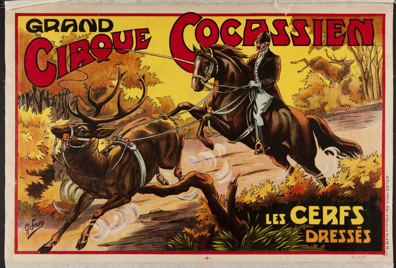 affiche GRAND  CIRQUE COCASSIEN  LES CERFS  DRESSES 1955.46.178 Photo