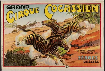 affiche GRAND  CIRQUE COCASSIEN  LE SEUL CIRQUE  PRESENTANT LES   ZEBRES  DRESSES 1955.46.179 Photo