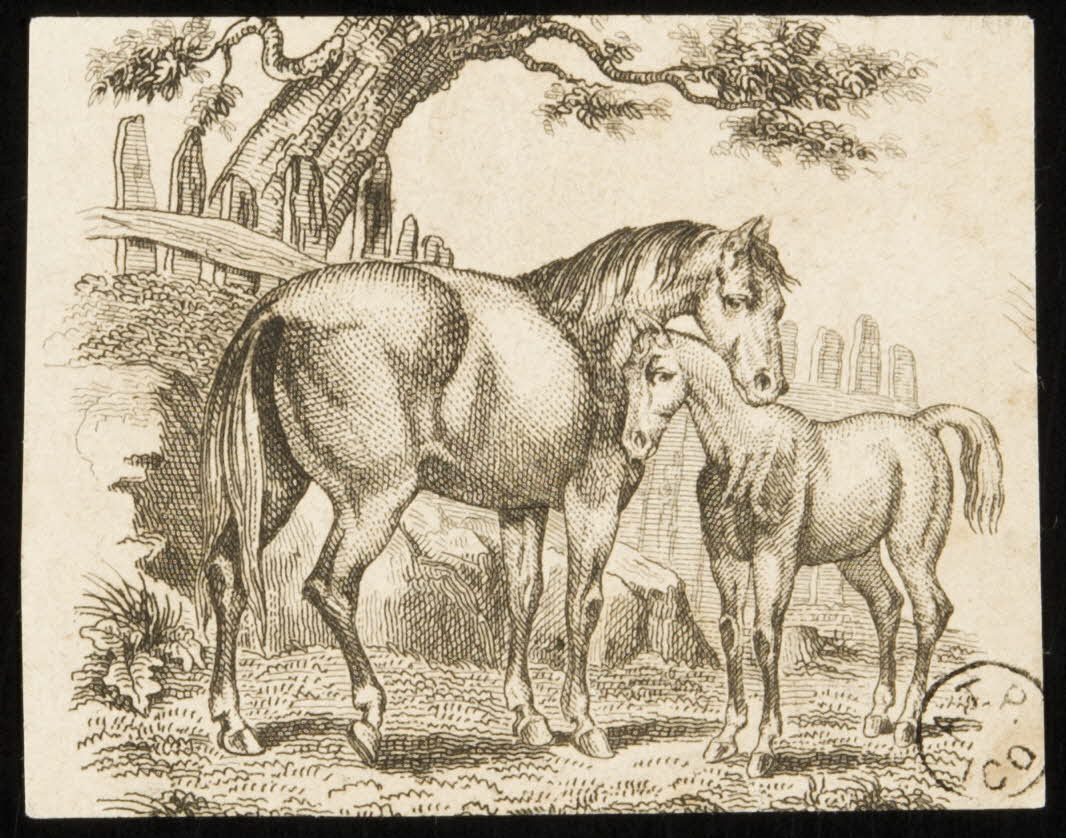 estampe Chevaux 1955.57.122 Photo