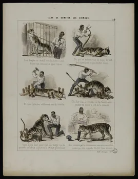 estampe L'ART DE DOMPTER LES ANIMAUX 1955.72.2 Photo