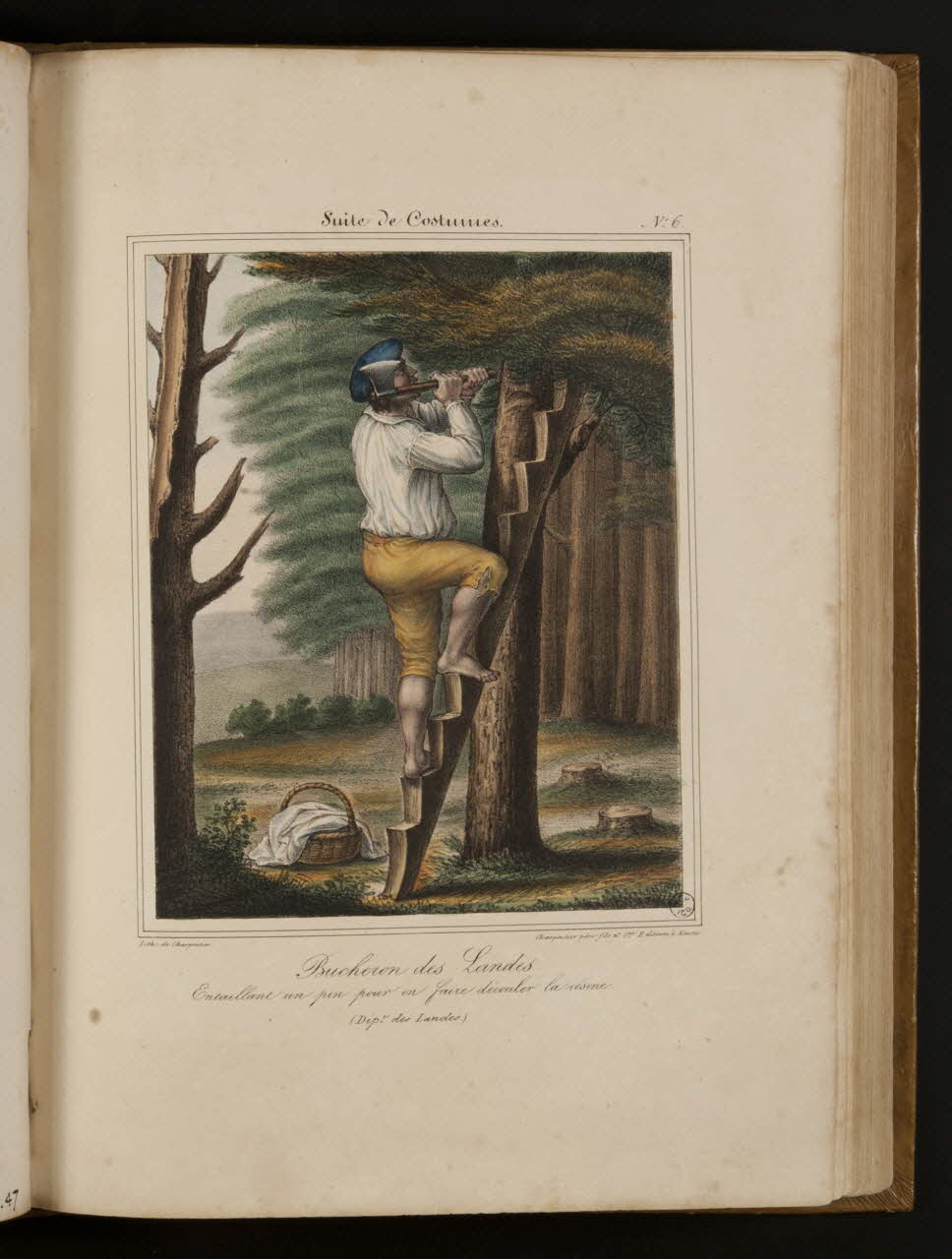 Henri Désiré Charpentier ; Charpentier Père et Fils et Cie élément d'ensemble Bucheron des Landes.  Entaillant un pin pour en faire découler la résine.  (Dépt des Landes.) 1824-1834 1957.164.1.48 Photo