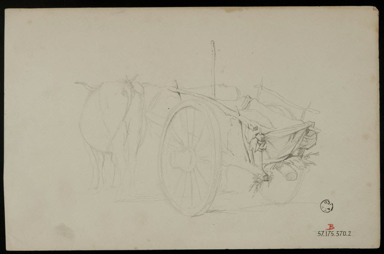 dessin Charrue 1957.175.373.1-2 Photo