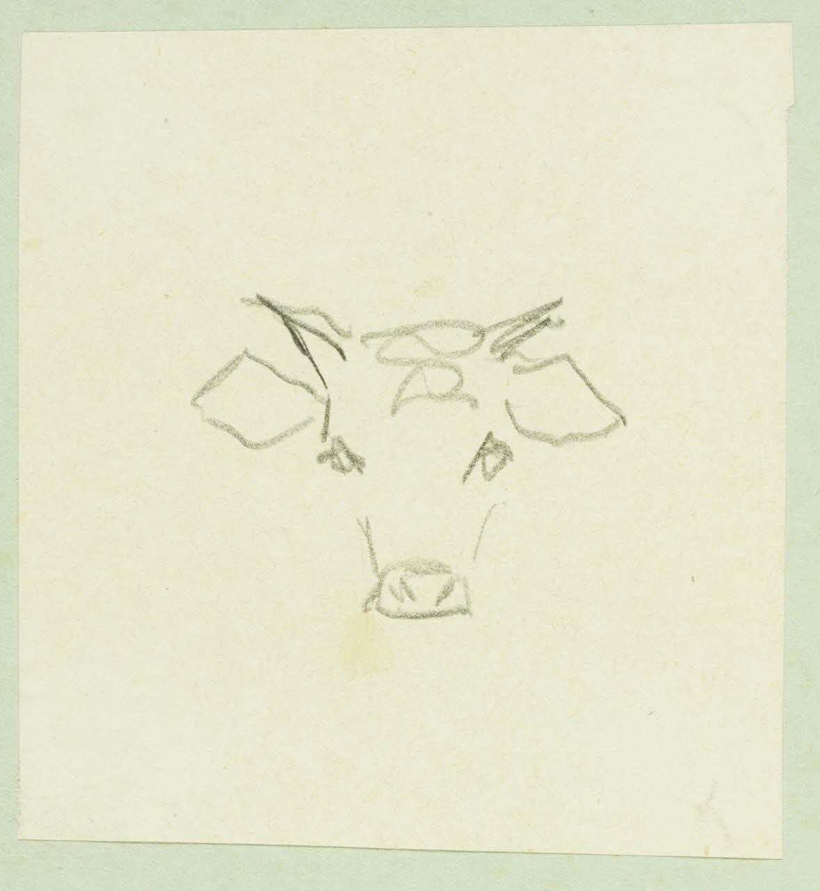 Gaëtan Dumas dessin Tête de bovin 1920 1957.183.39 Photo