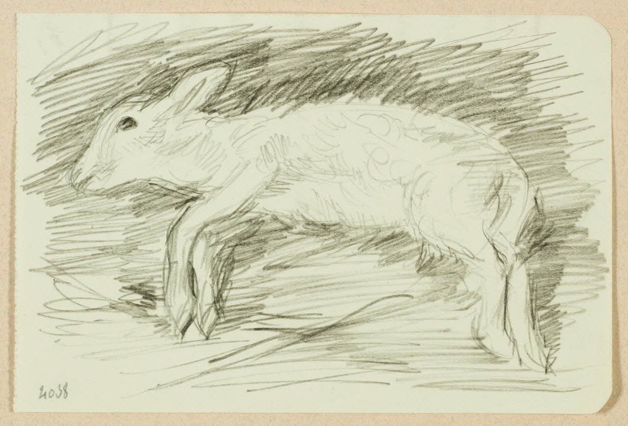 Gaëtan Dumas dessin Agneau 1950 1957.183.57 Photo