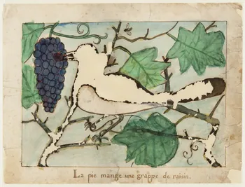 dessin La pie mange une grappe de raisin. 1959.28.21.1 Photo