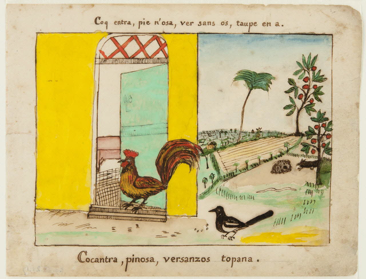 dessin Coq entra, pie n'osa, ver sans os, taupe en a.  Cocantra, pinosa, versanzos topana. 1959.28.21.17 Photo