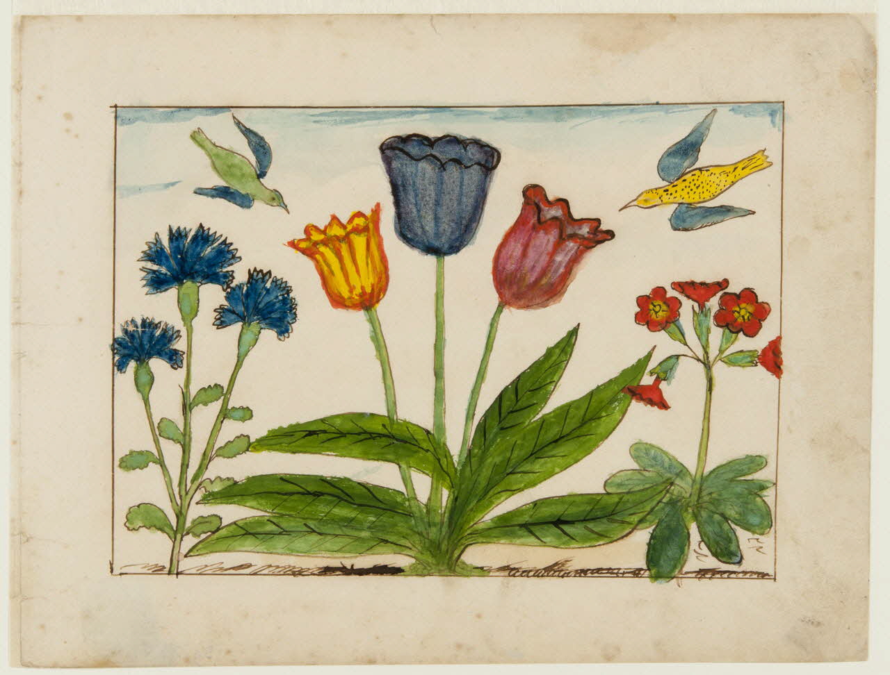 dessin Fleurs 1959.28.21.6 Photo