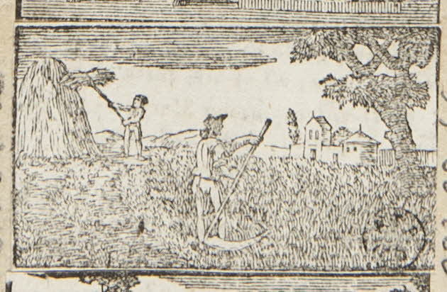 album Moisson 1959.66.119 Photo