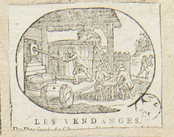 album LES VENDANGES. 1959.66.128 Photo