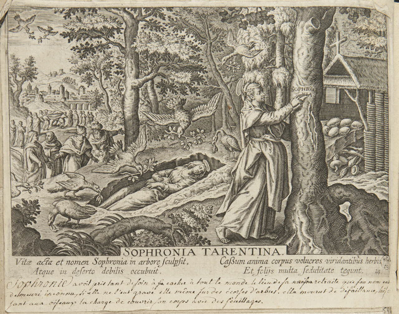 album SOPHRONIA TARANTINA 1959.66.215 Photo