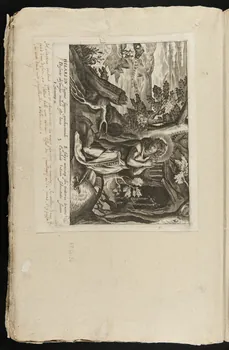 album HILARION 1959.66.26 Photo