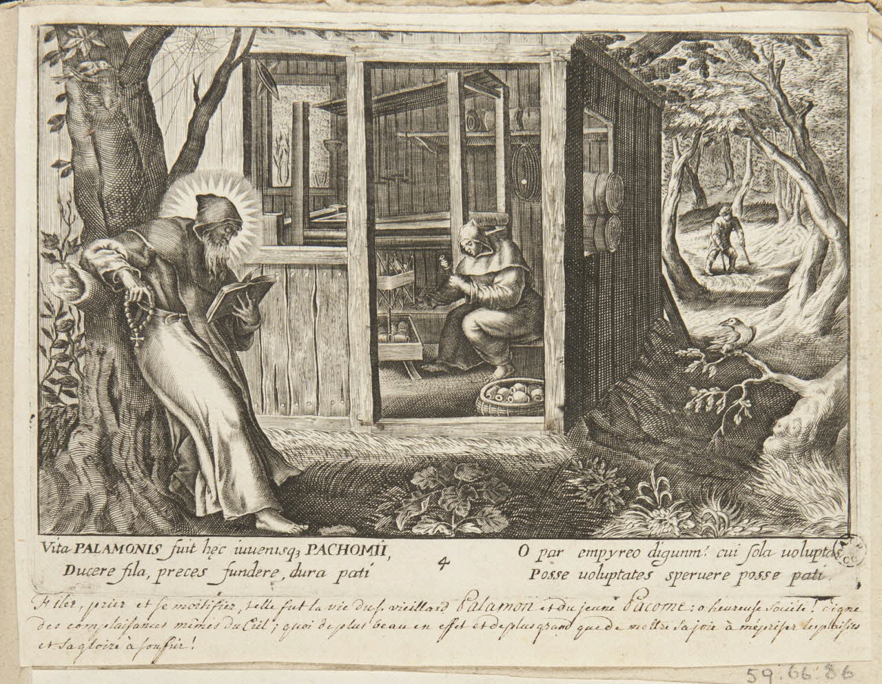 album PALAMONIS 1959.66.86 Photo