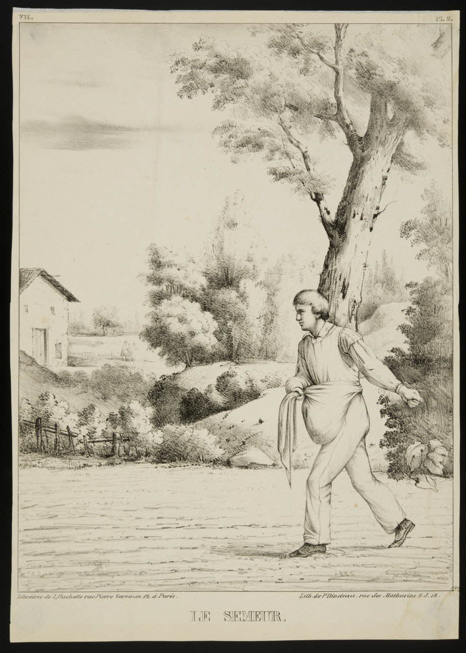 estampe LE SEMEUR. 1960.147.119 Photo