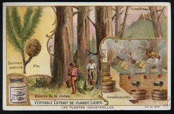 carte réclame chromo Paris 1902 1960.22.135 Photo