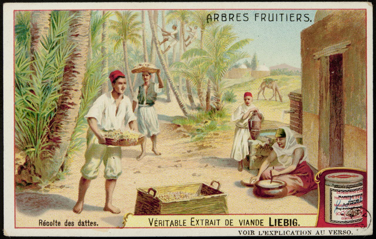 carte réclame ARBRES FRUITIERS. 1960.22.150 Photo