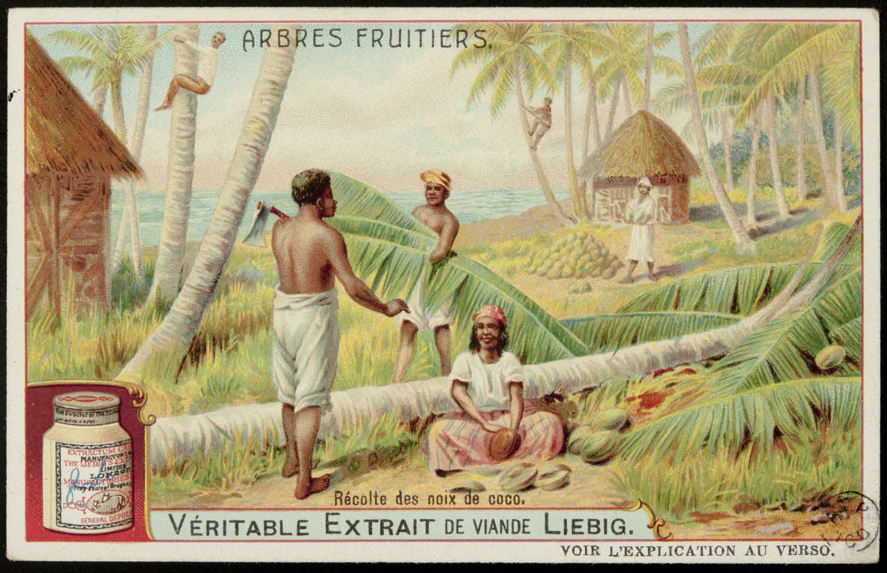 carte réclame ARBRES FRUITIERS. 1960.22.151 Photo