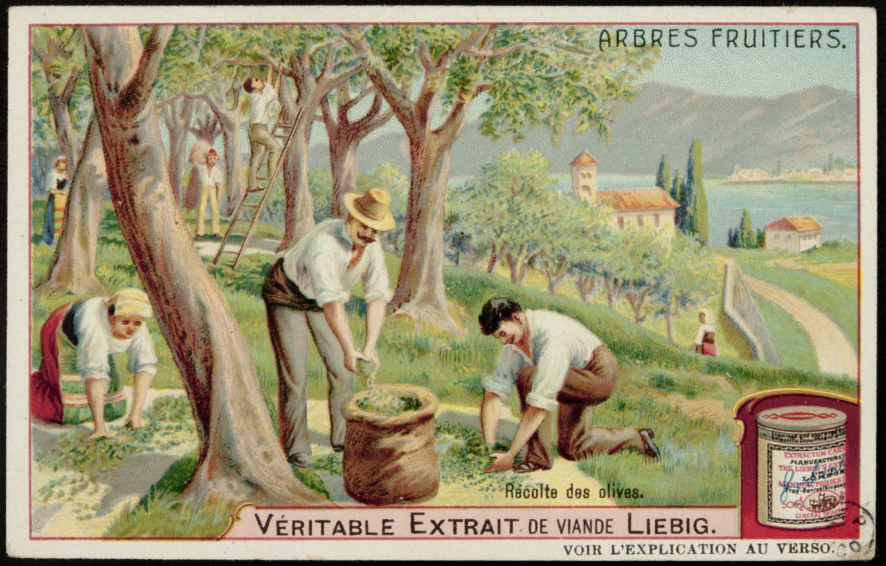carte réclame ARBRES FRUITIERS. 1960.22.152 Photo