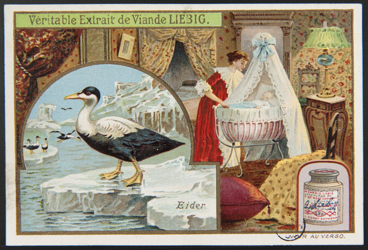 carte réclame chromo Paris 1904 1960.22.370.131 Photo