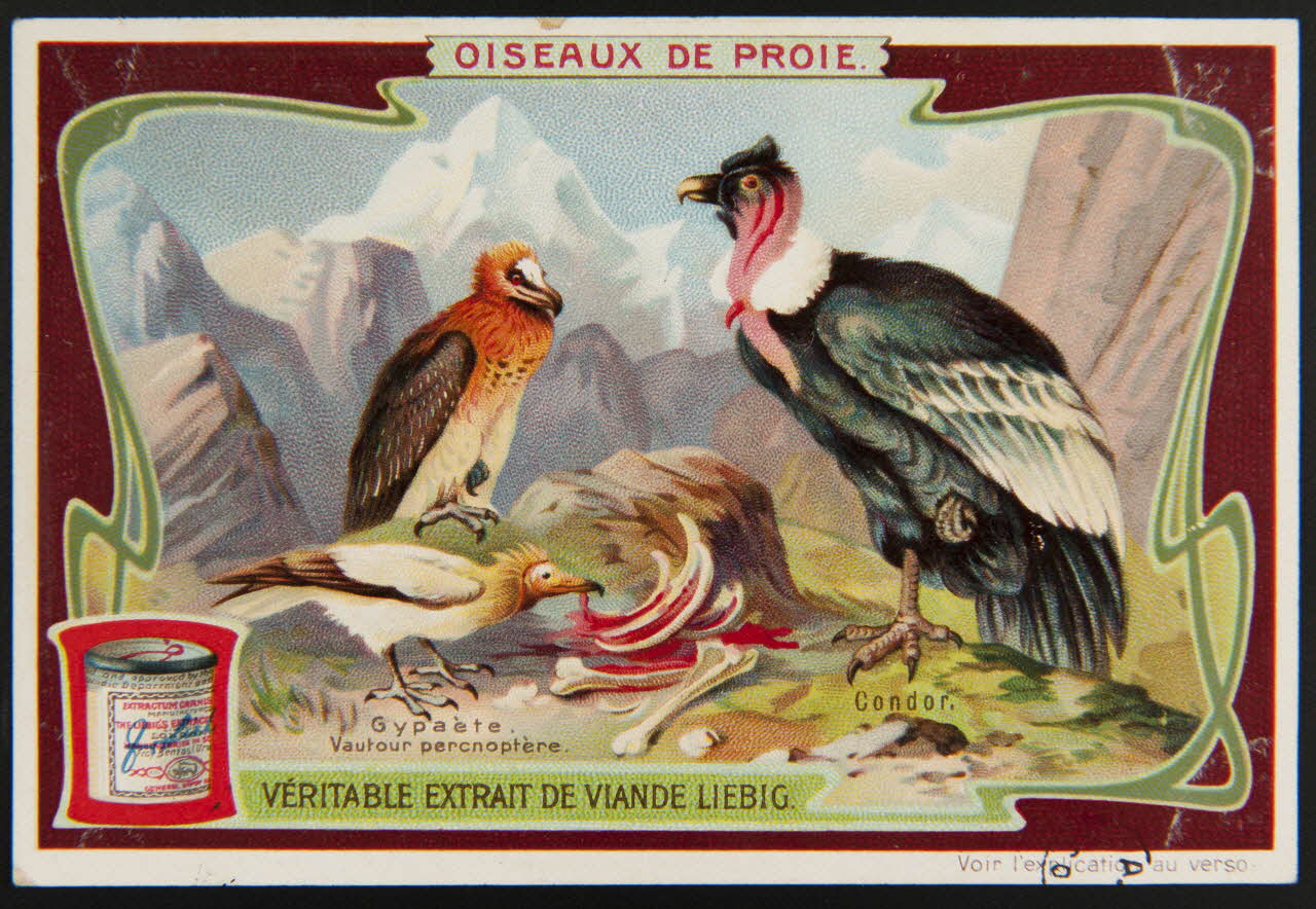 carte réclame chromo Paris 1906 1960.22.370.214 Photo