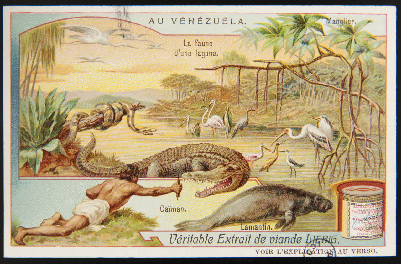 carte réclame chromo 1960.22.370.251 Photo