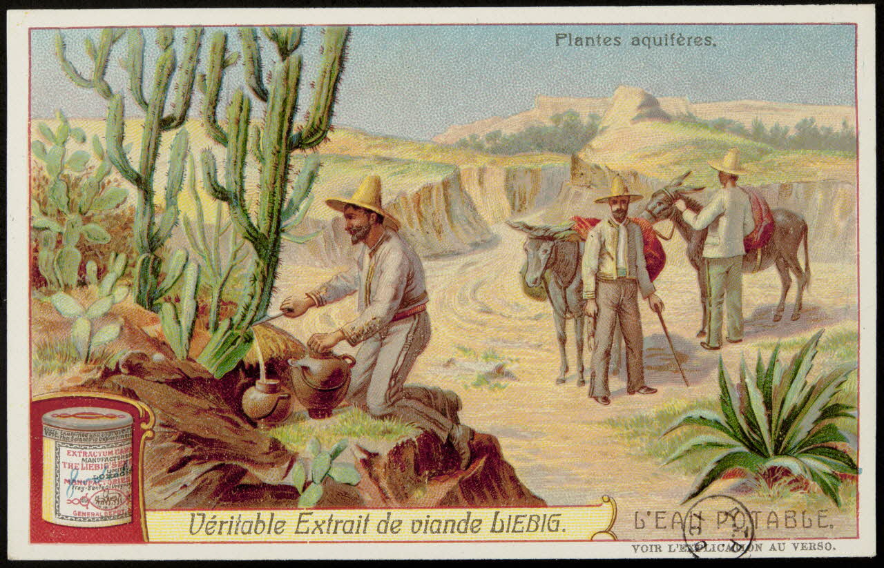 carte réclame chromo 1960.22.370.305 Photo