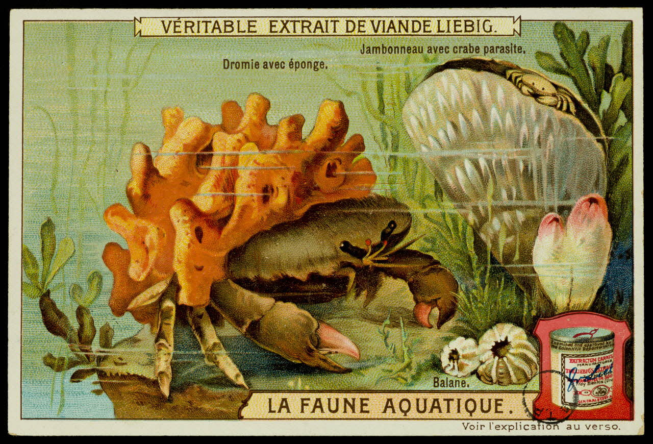 carte réclame chromo 1960.22.370.313 Photo