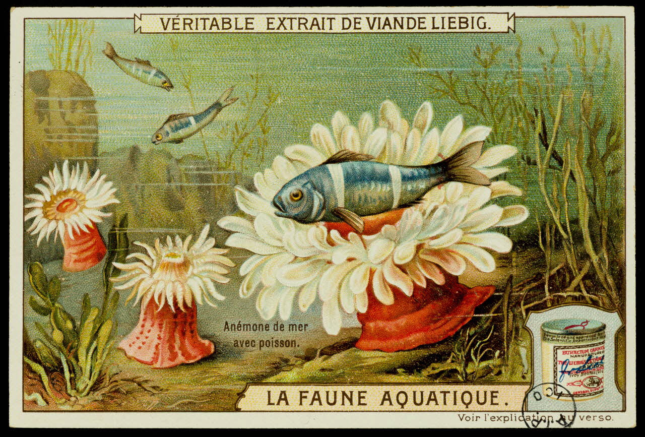 carte réclame chromo 1960.22.370.314 Photo