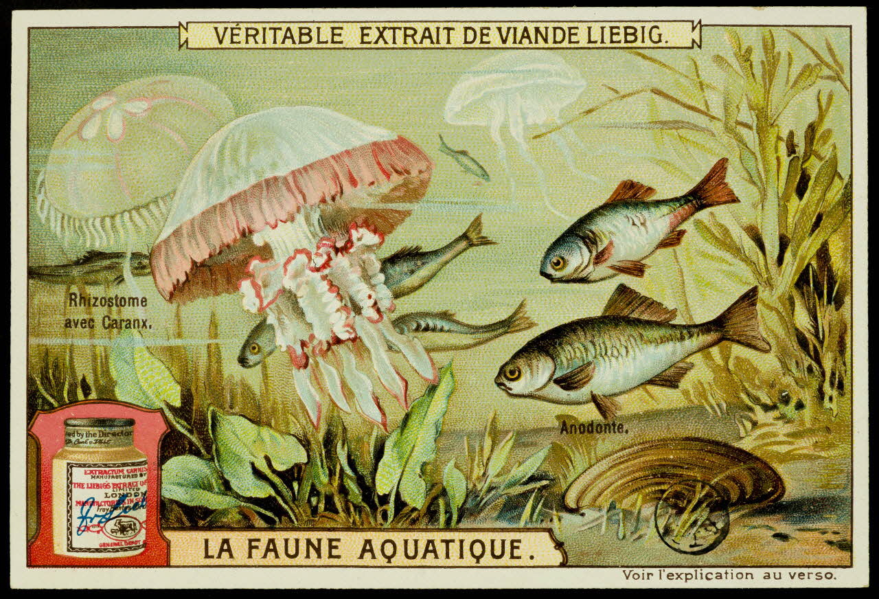 carte réclame chromo 1960.22.370.315 Photo