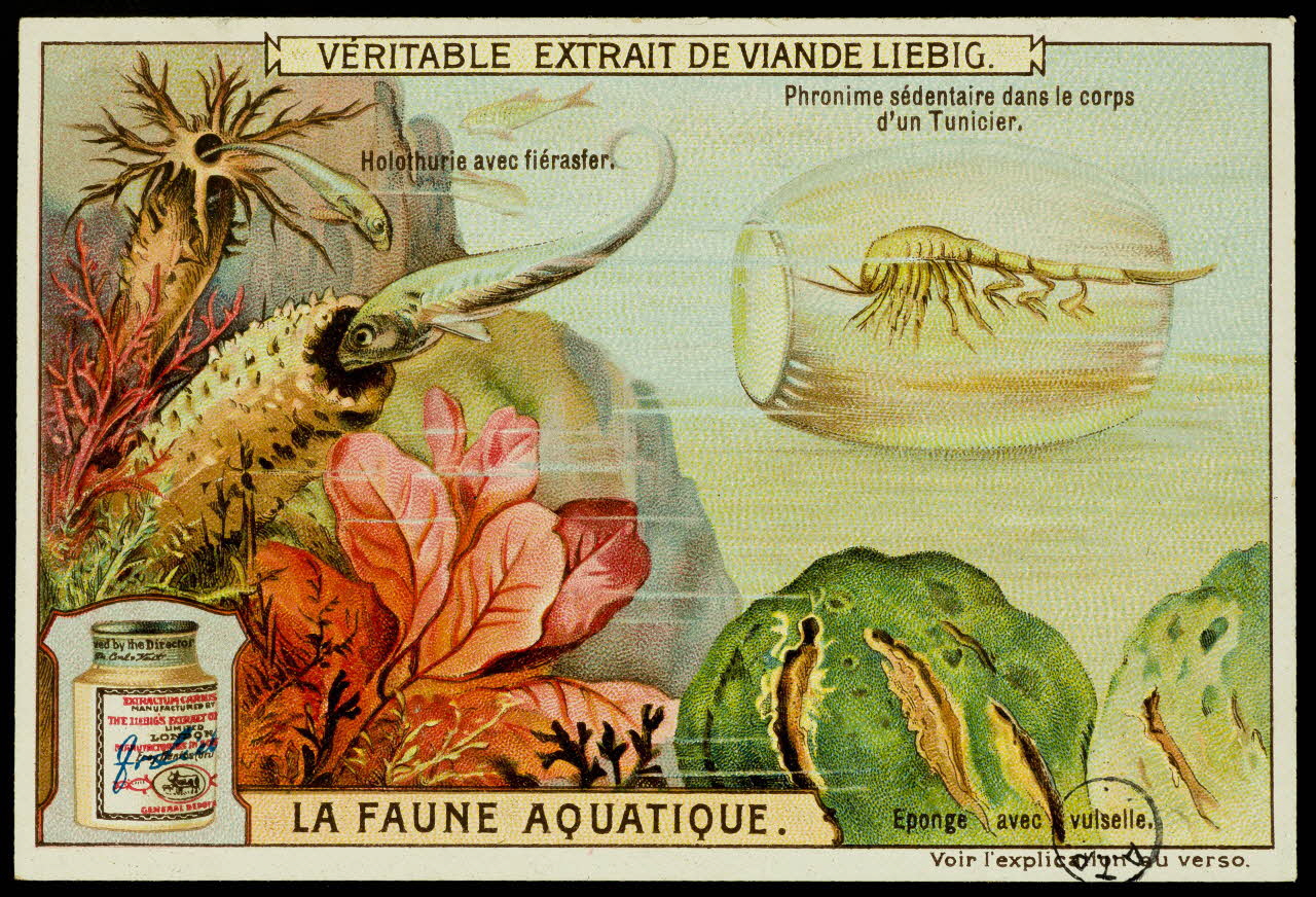 carte réclame chromo 1960.22.370.316 Photo