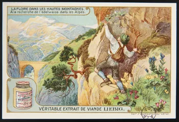 carte réclame chromo Paris 1936 1960.22.370.318 Photo