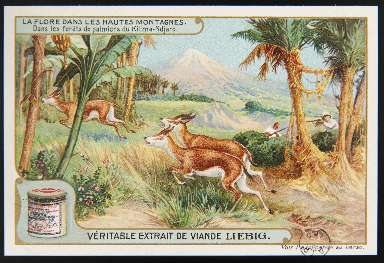 carte réclame chromo 1960.22.370.319 Photo