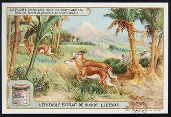 carte réclame chromo 1960.22.370.319 Photo