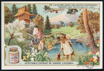 carte réclame chromo 1960.22.370.321 Photo