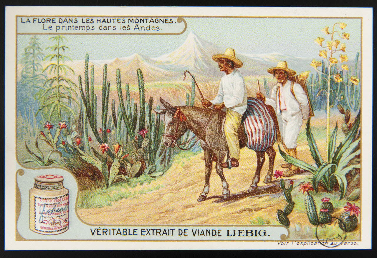 carte réclame chromo 1960.22.370.323 Photo