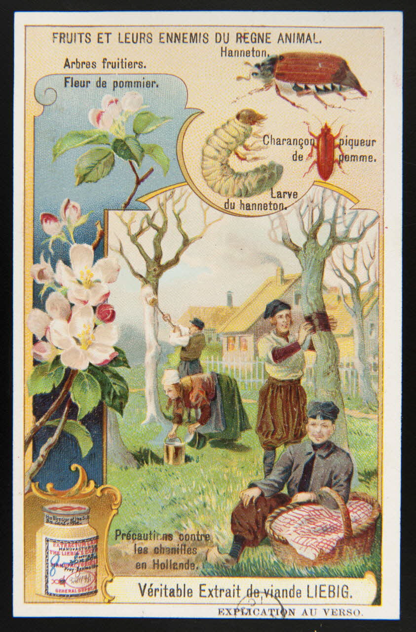 carte réclame chromo Paris 1911 1960.22.370.330 Photo