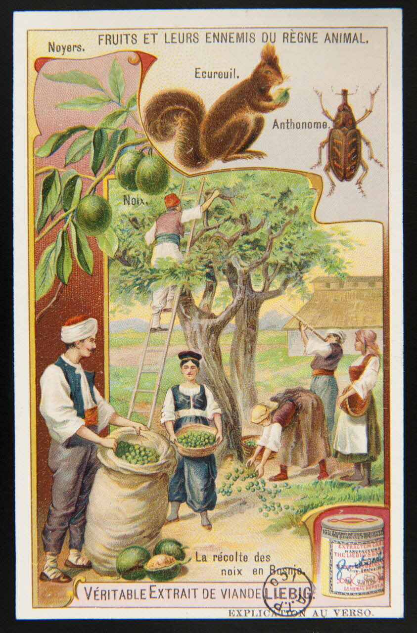 carte réclame chromo 1960.22.370.331 Photo