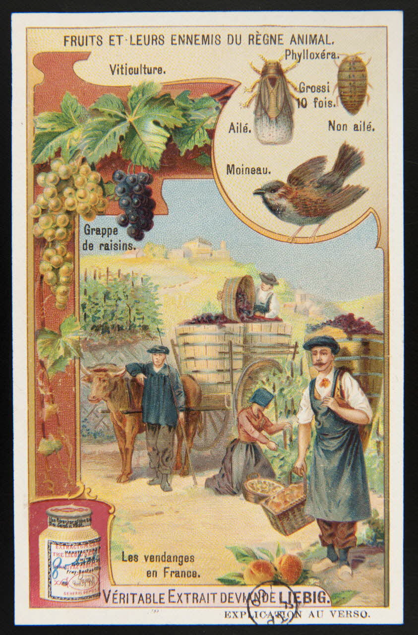 carte réclame chromo 1960.22.370.332 Photo