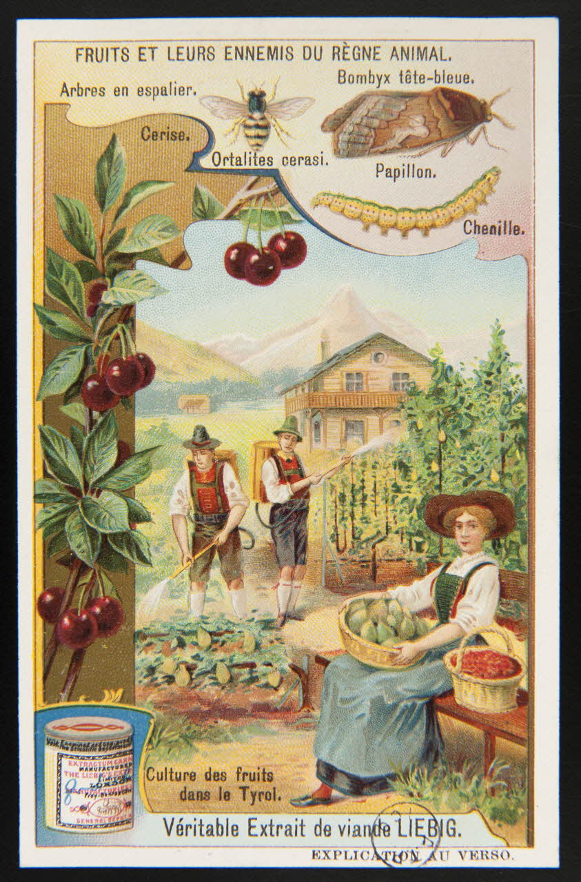 carte réclame chromo 1960.22.370.333 Photo