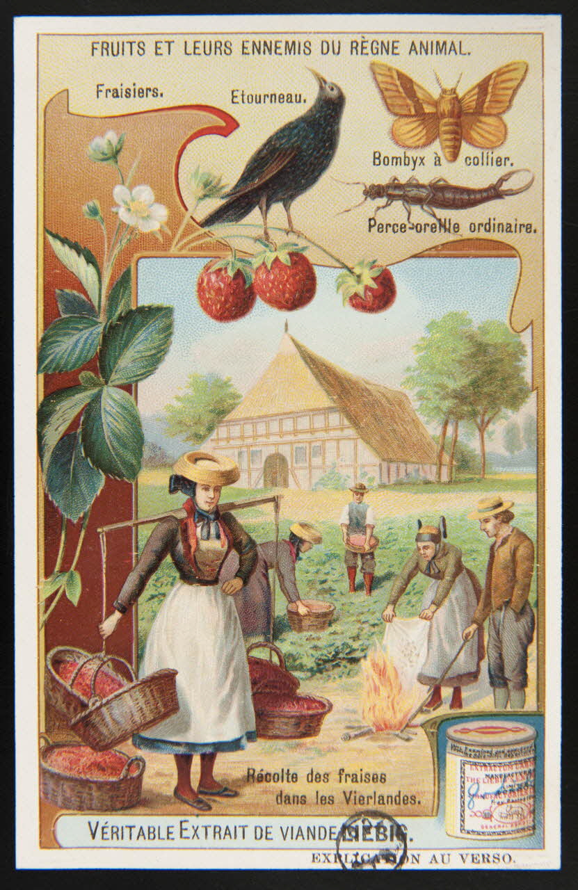 carte réclame chromo 1960.22.370.334 Photo