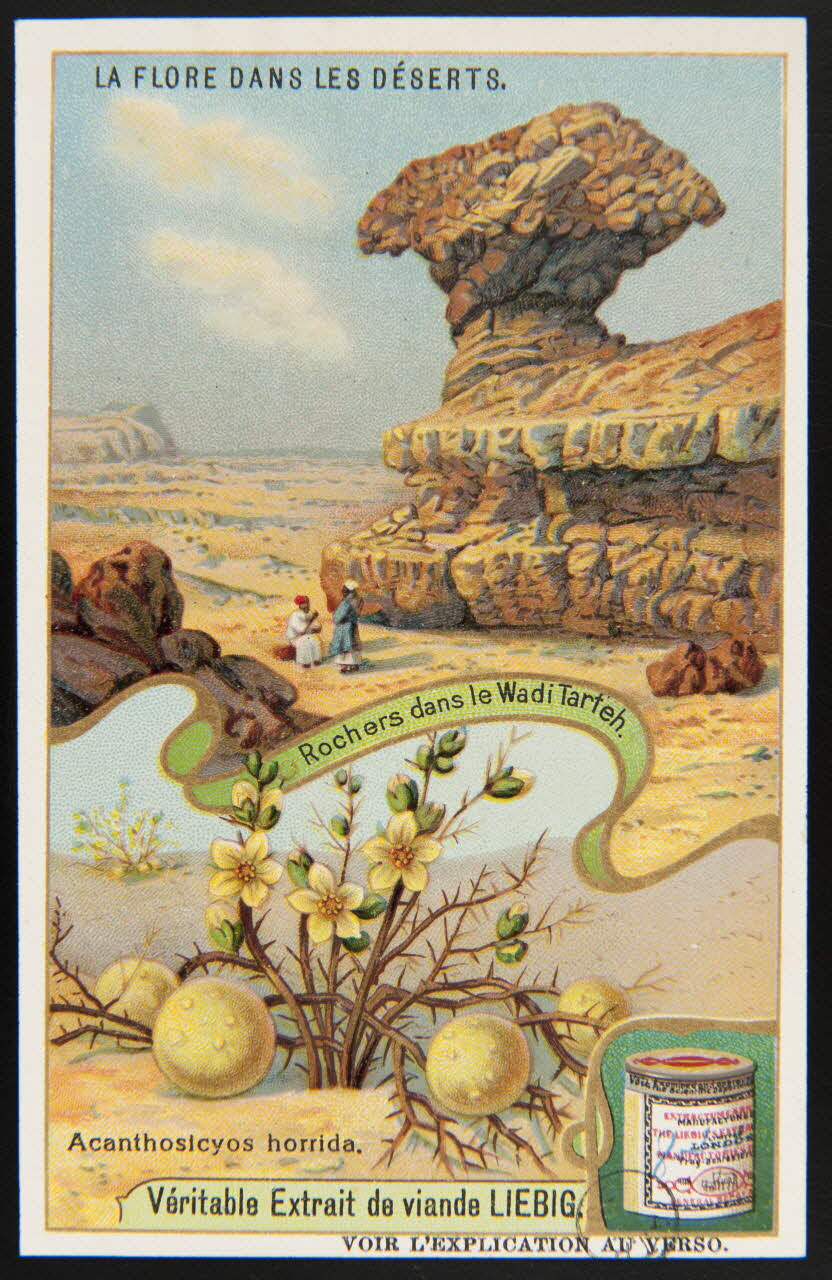carte réclame chromo 1960.22.370.374 Photo