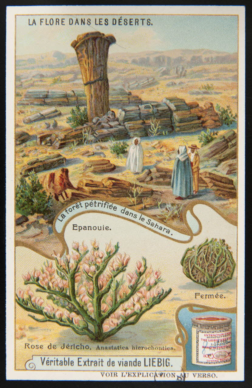 carte réclame chromo 1960.22.370.375 Photo