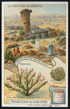 carte réclame chromo 1960.22.370.375 Photo