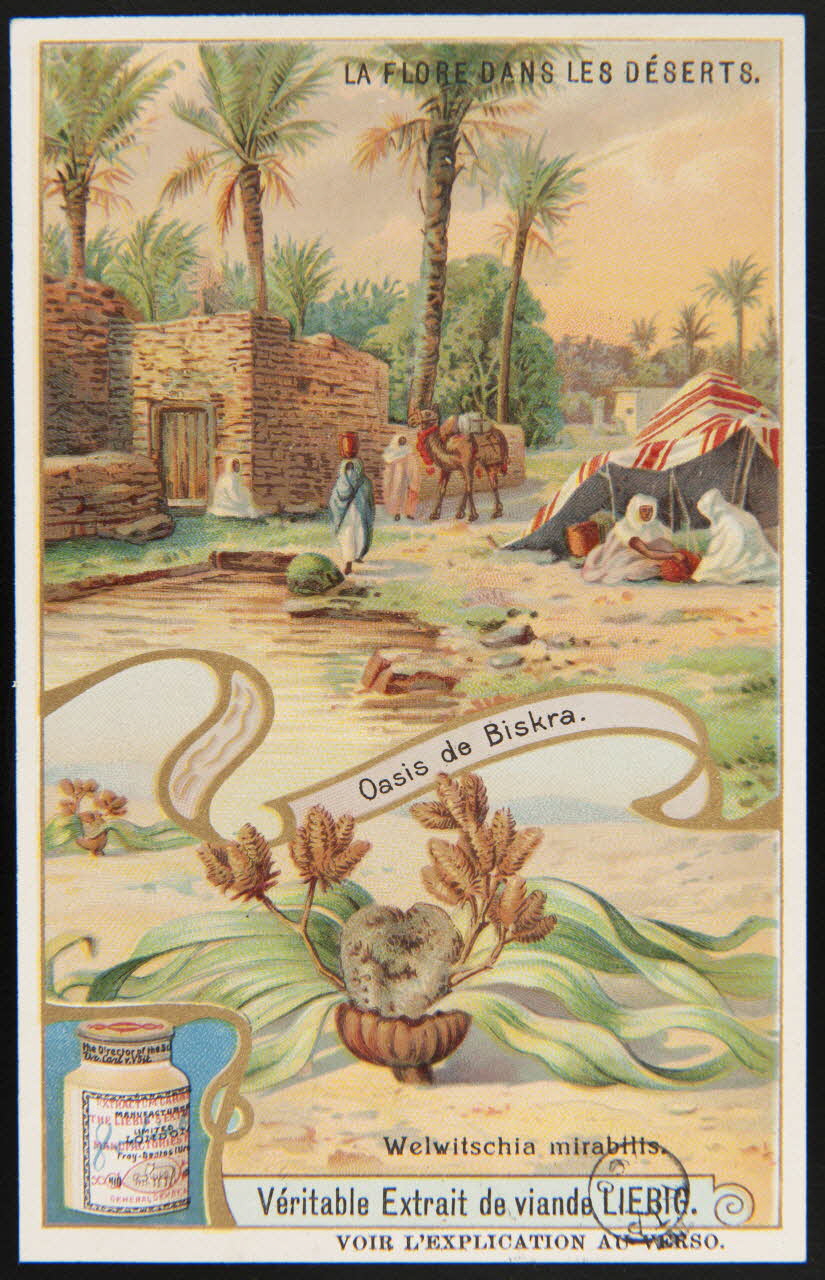 carte réclame chromo 1960.22.370.376 Photo