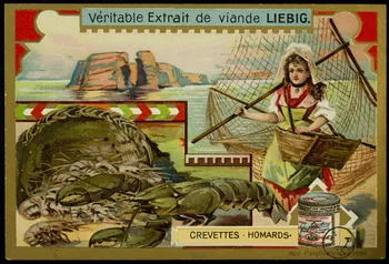 carte réclame chromo 1960.22.370.41 Photo