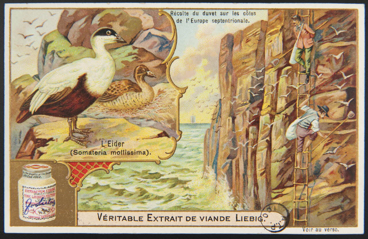 carte réclame chromo 1960.22.370.90 Photo
