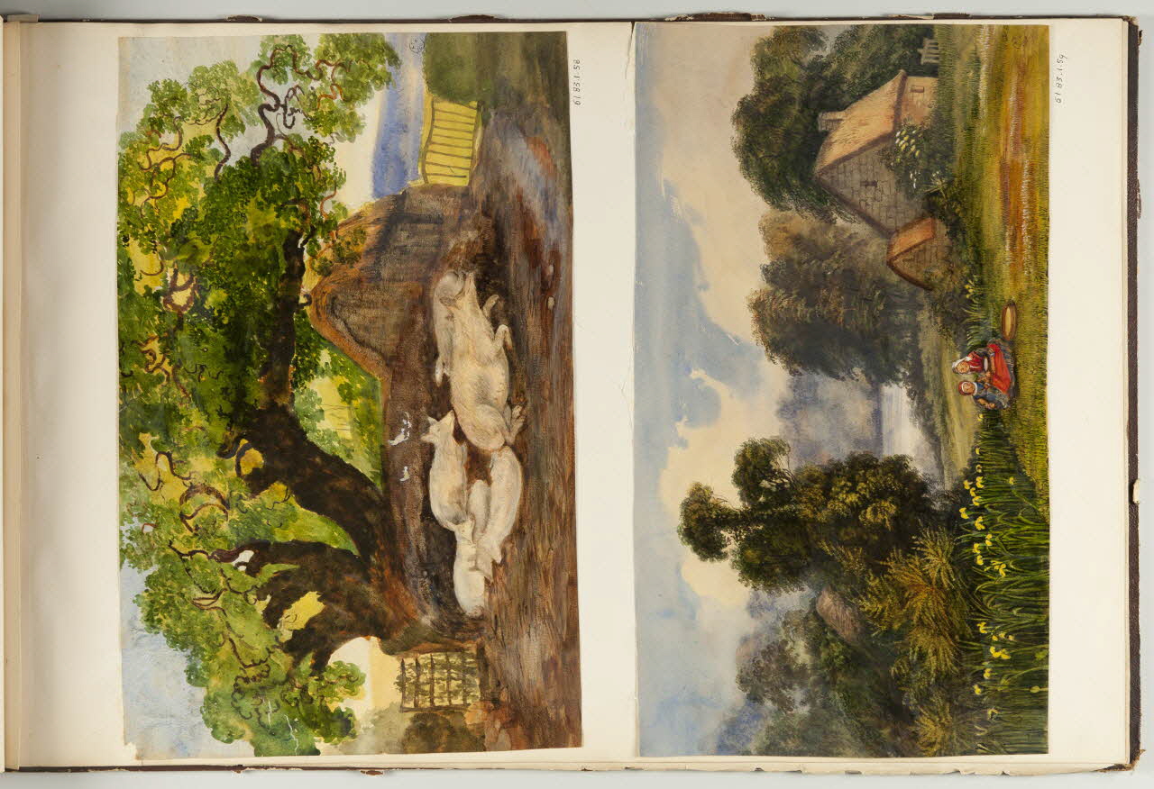 dessin Elevage de porcs 1961.83.1.58 Photo