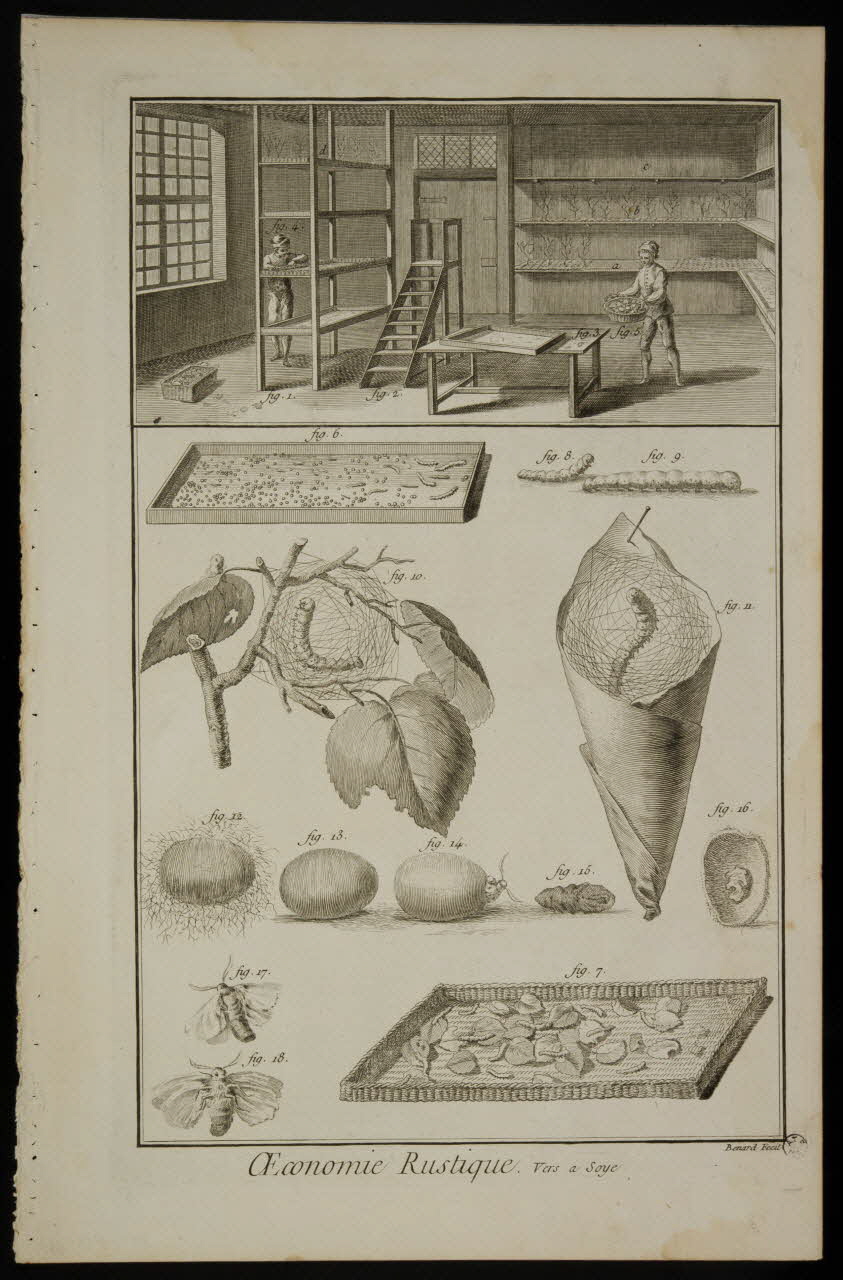 estampe OEconomie Rustique. Vers a Soye 1962.25.1025 Photo